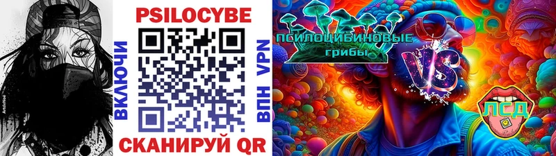 Галлюциногенные грибы Psilocybe  закладки  Краснослободск 